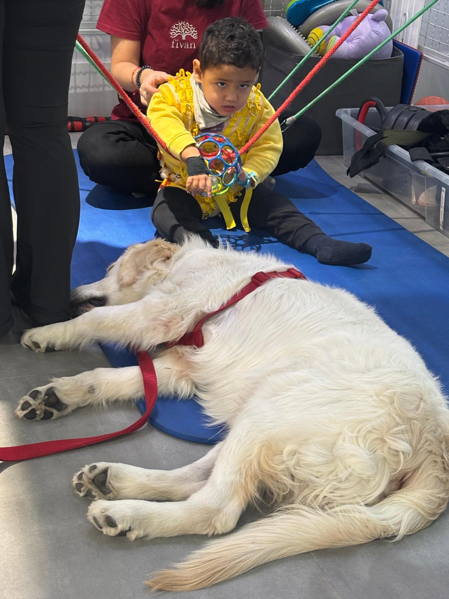 Asociación Pablito el guerrero ayudemos a Pablo a caminar