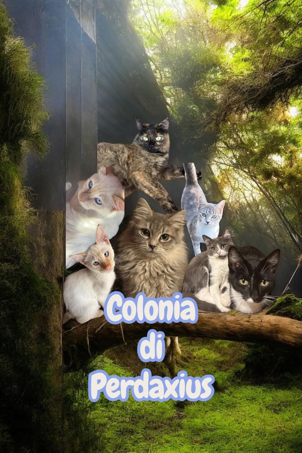 Colonia di Perdaxius