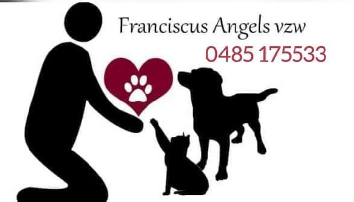 Franciscus Angels vzw Teaming