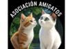 Amigatos La Atalaya