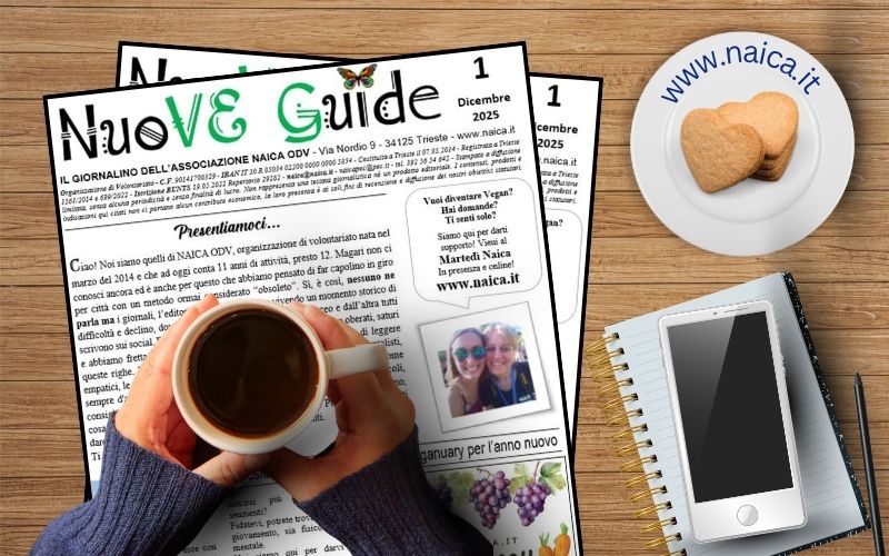 NuoVe Guide