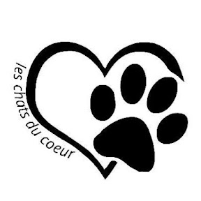 Les chats du cœur