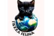 Protectora Tierra Felina