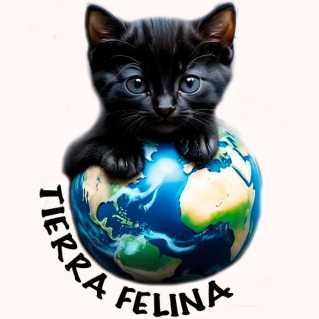Protectora Tierra Felina