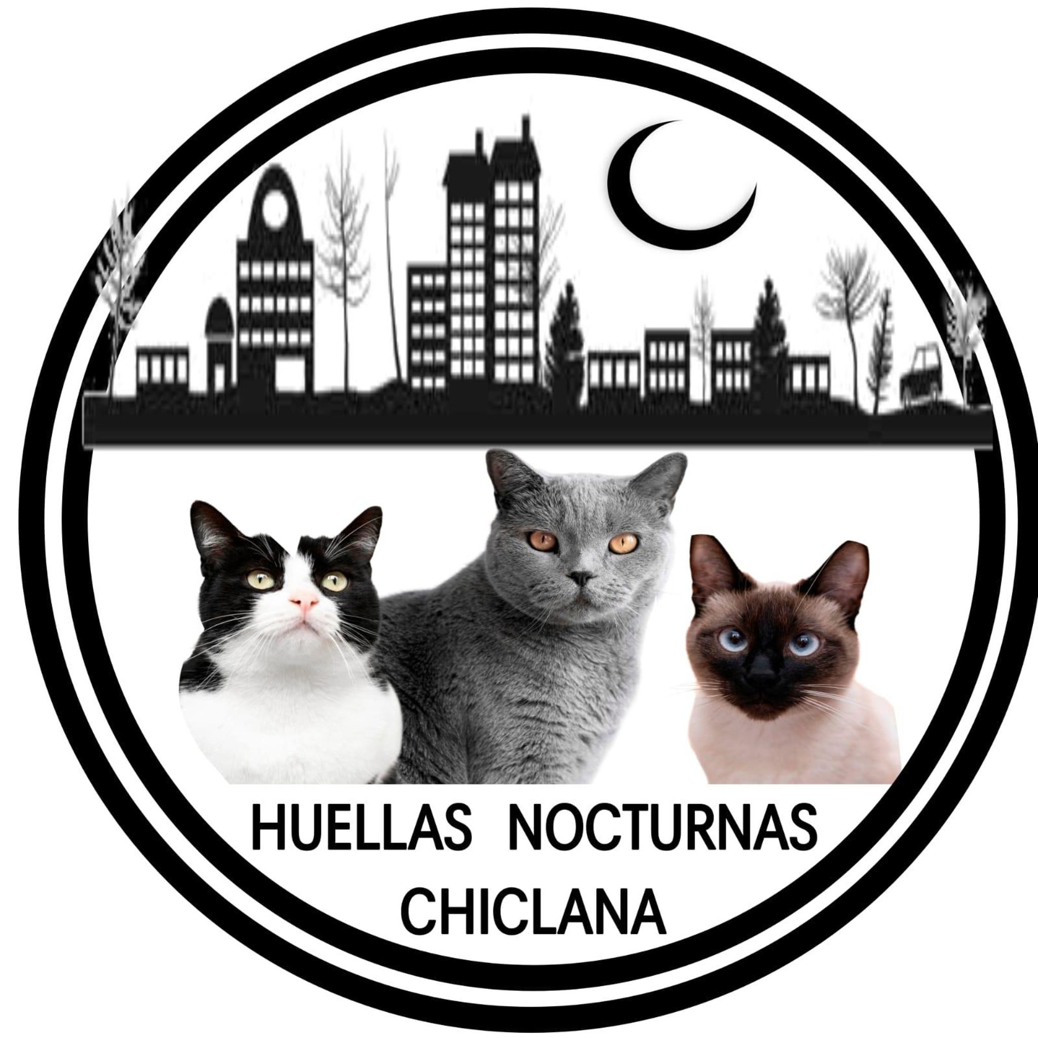 HUELLAS NOCTURNAS CHICLANA