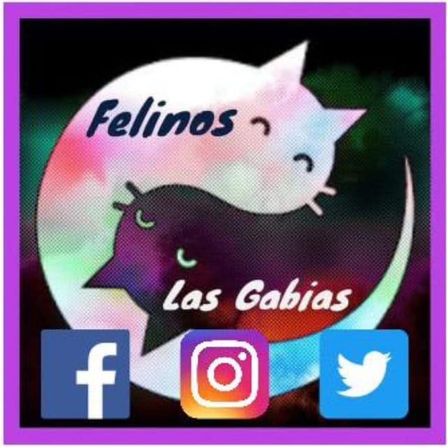 Felinos Las Gabias