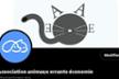 Association animaux errants economie