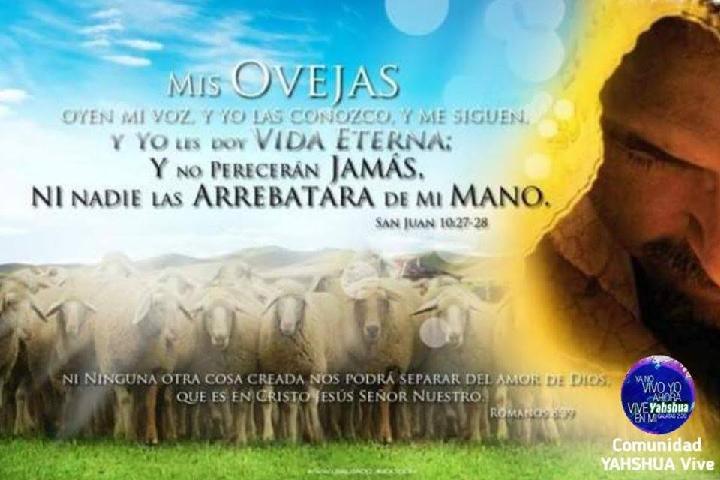 YAHSHUA Vive en mi