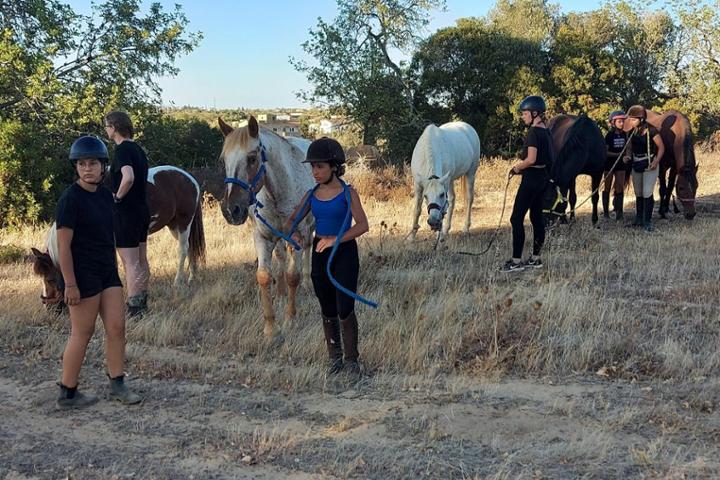 ACCA Amigo do Cavalo Clube Algarve