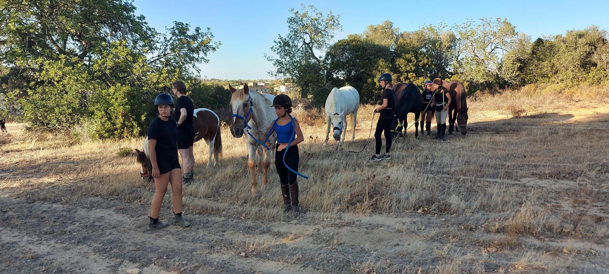 ACCA Amigo do Cavalo Clube Algarve