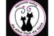 Asociación Gatos de RIBARROJA
