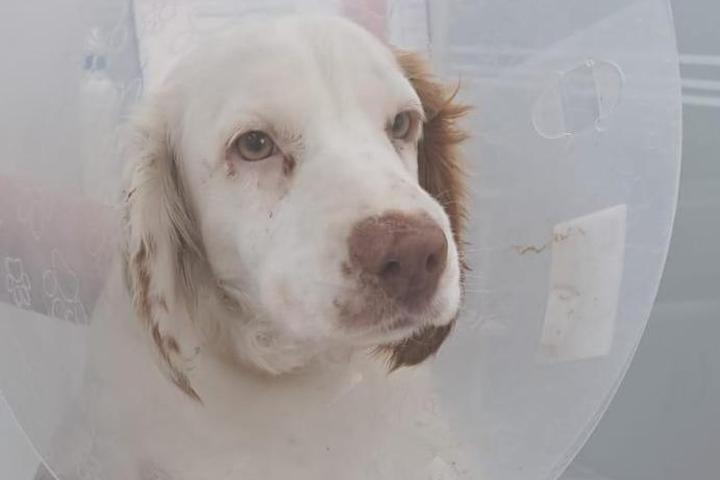 Una oportunidad para Marcus