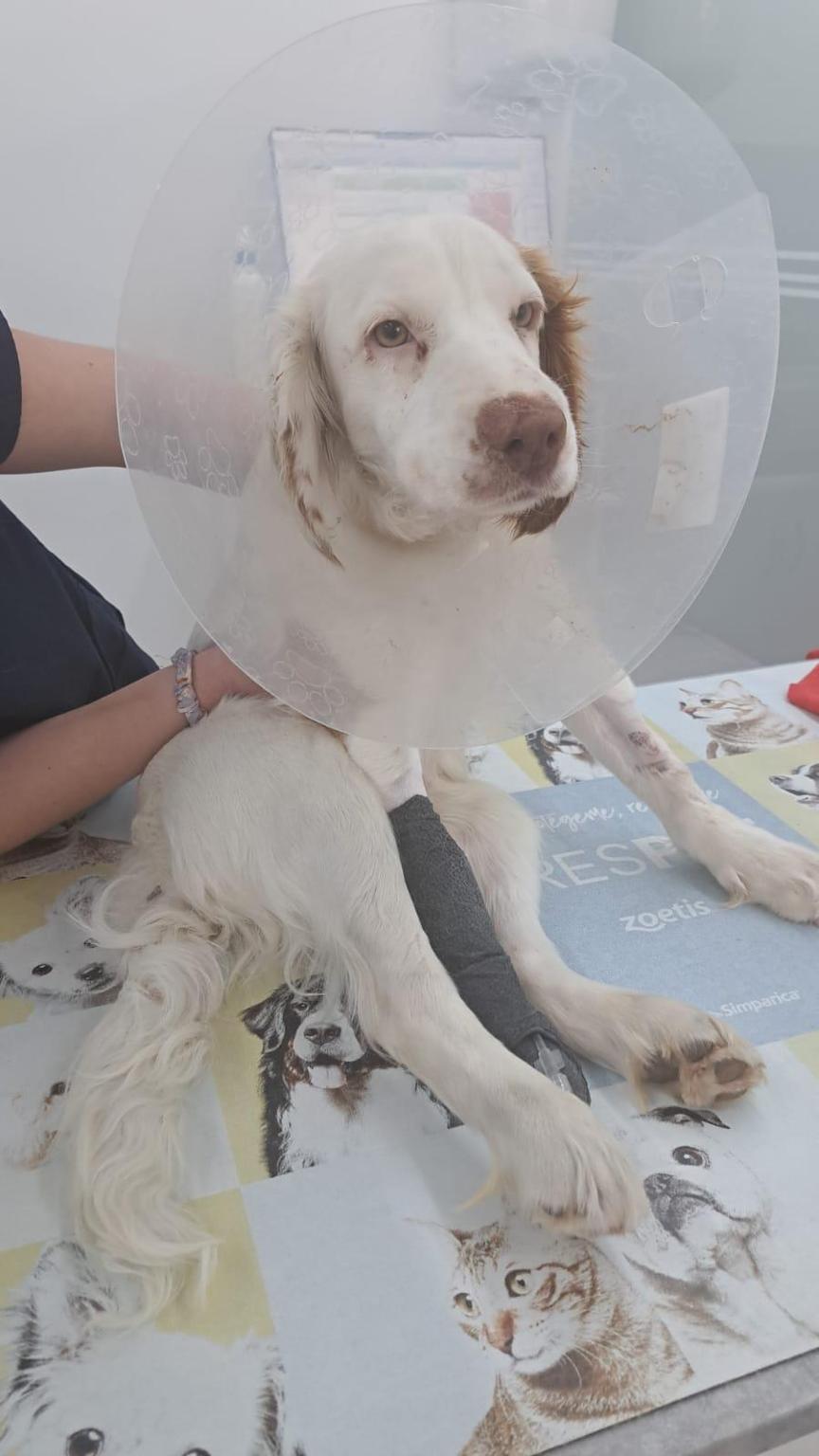 Una oportunidad para Marcus