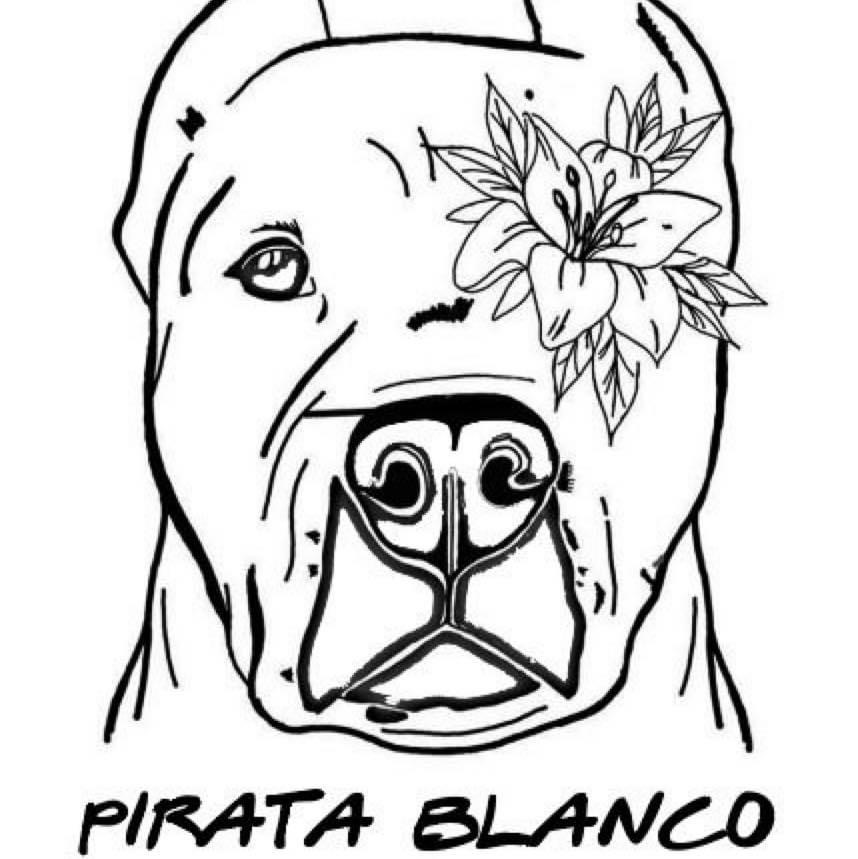 Aaccpiratablanco