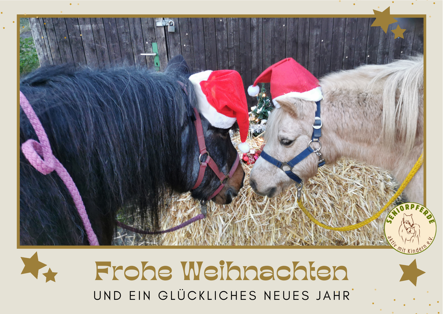Seniorpferde aktiv mit Kindern e.V.