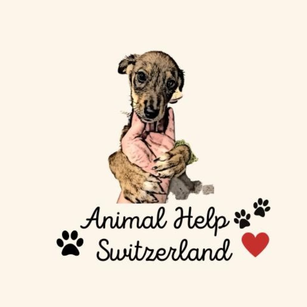 Animal Help Switzerland