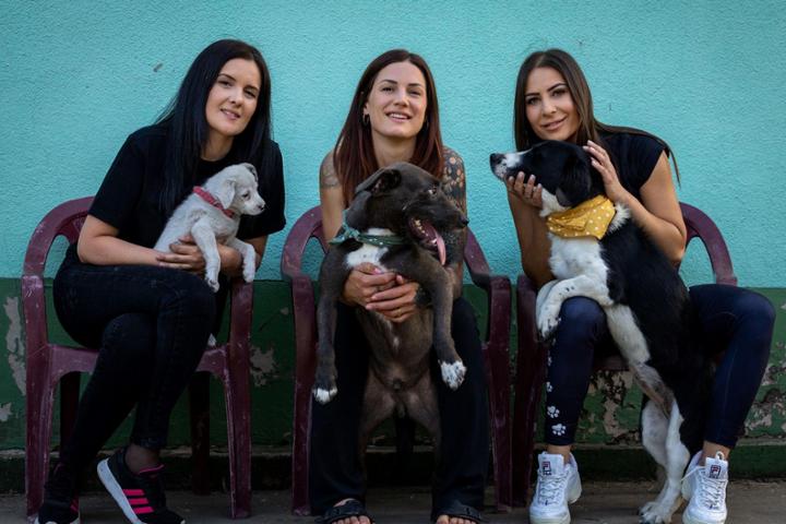 Strays in need Serbia - A Second Chance for Forgotten Paws