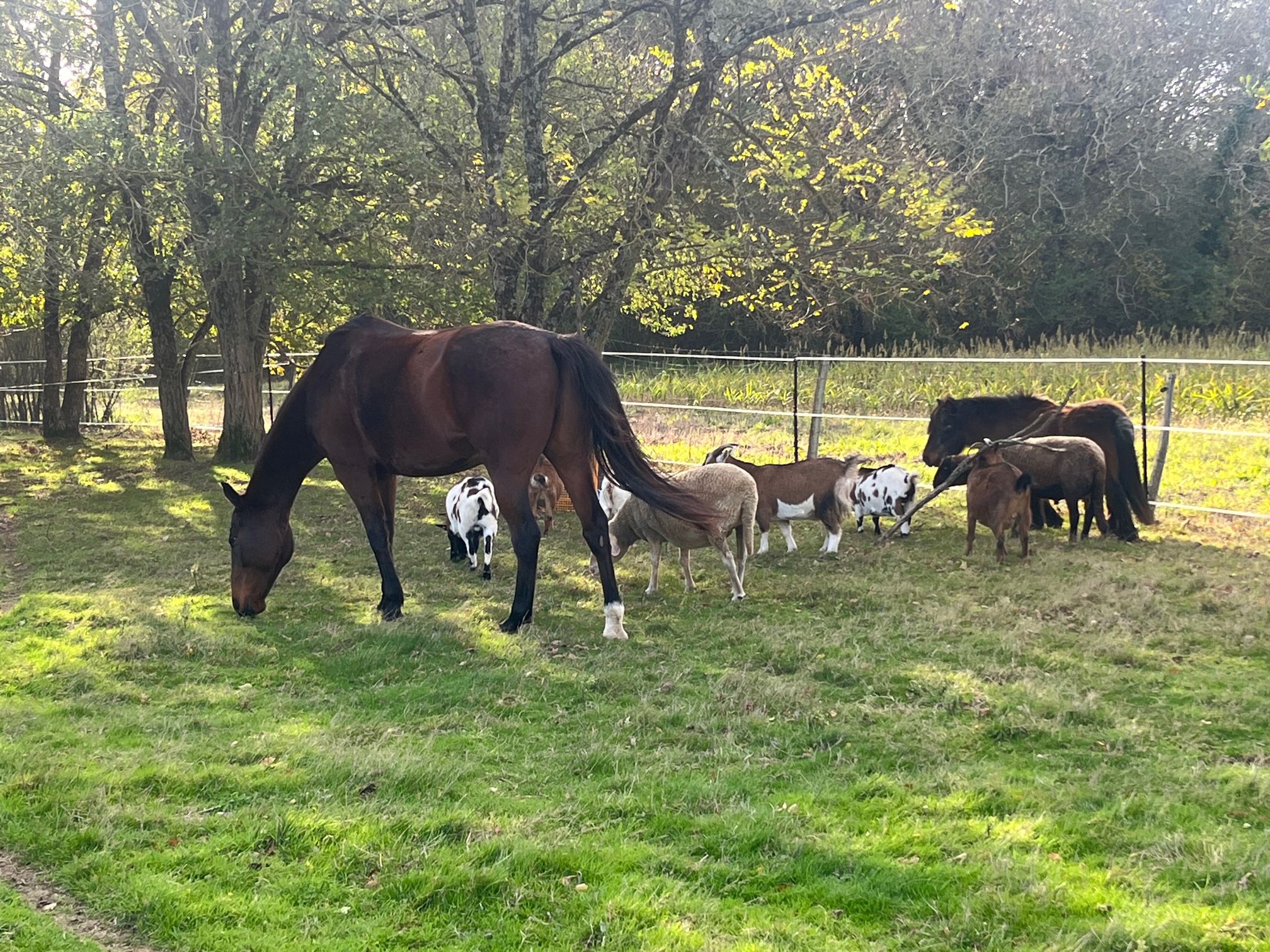 Le refuge de Mélinda