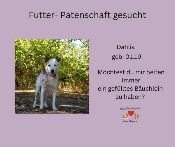 Association of Rescued paws- Bulgaria