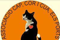 Cap, Cor i Cua Els Ports