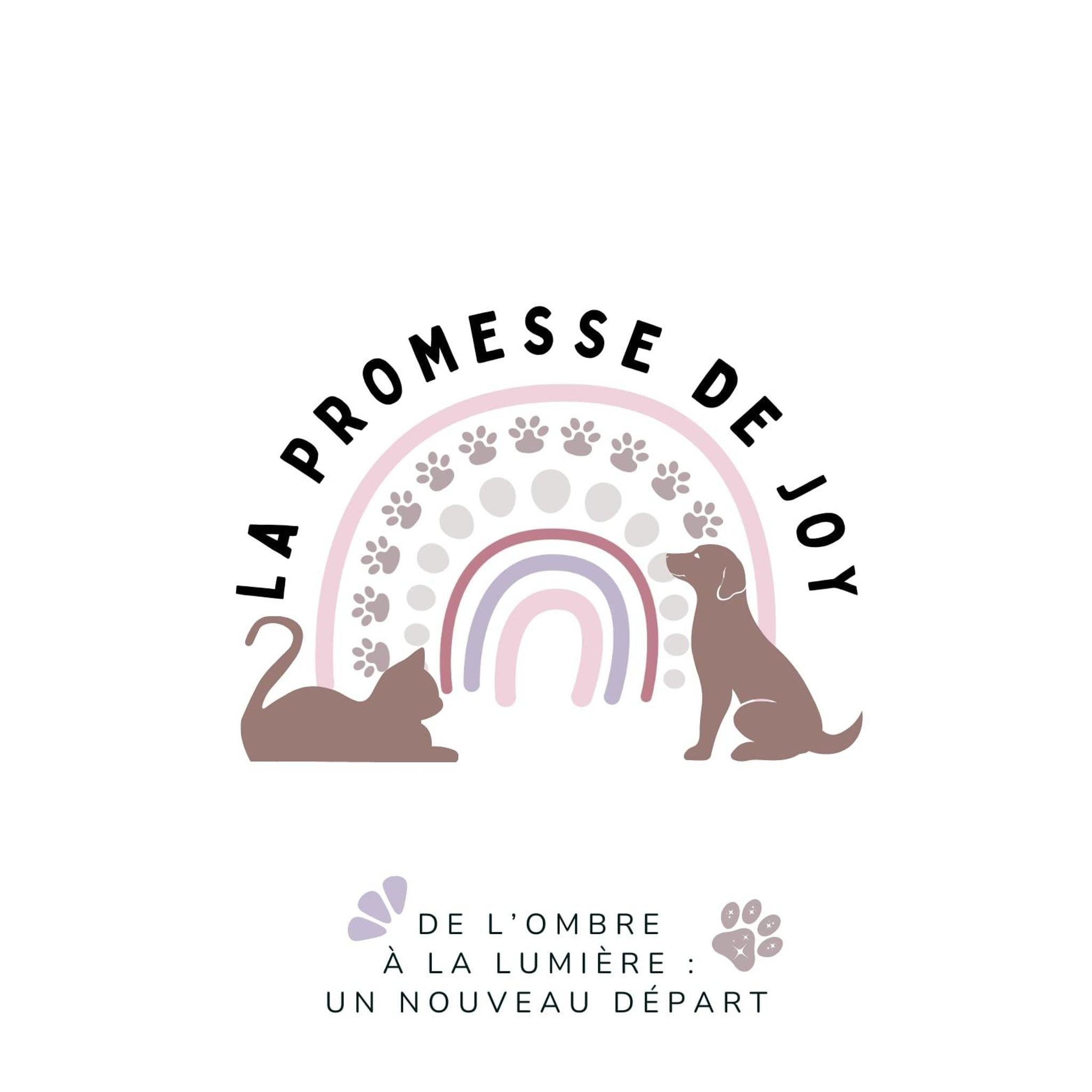 Association La Promesse de Joy