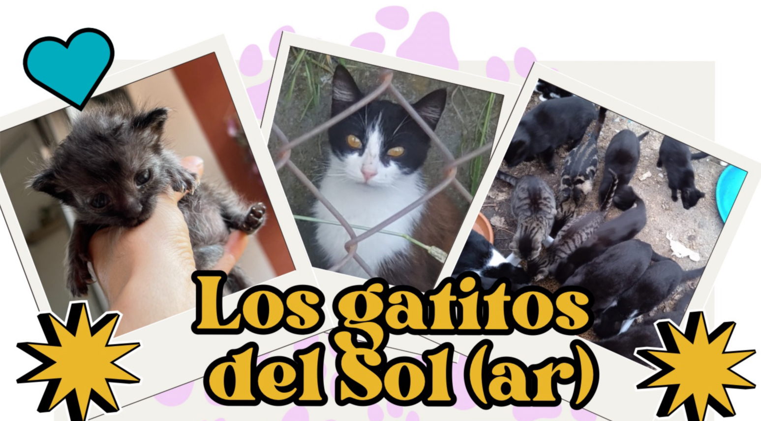 Gatitos del Sol (ar)