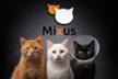 MIXU'S CARE protective association for abandoned cats