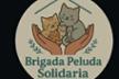 BRIGADAPELUDASOLDIARIA