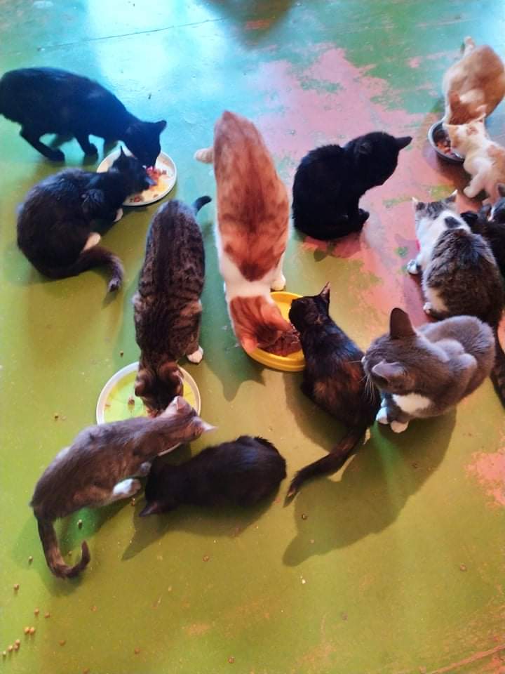 Mila aus der Ukraine