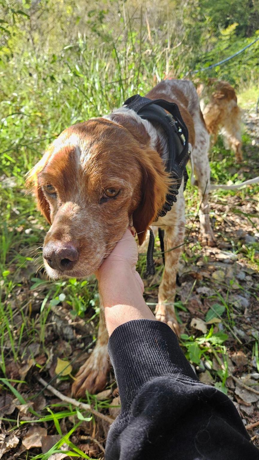 PRISE EN CHARGE DE MIKI