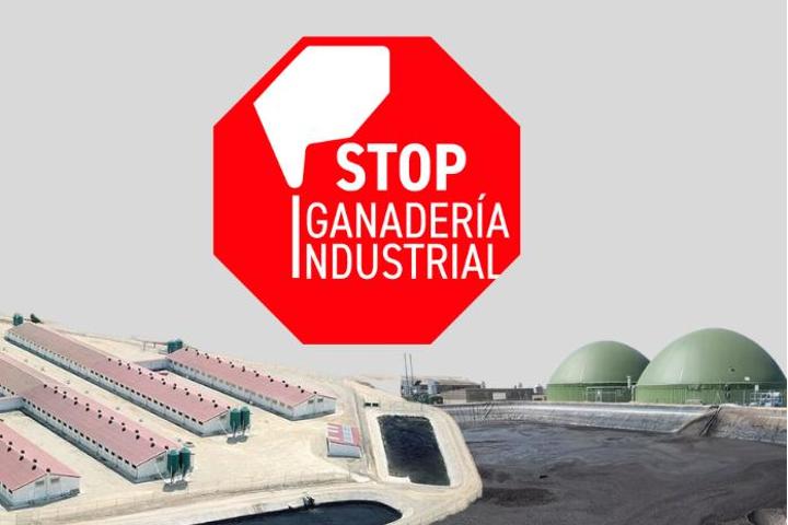 Stop Ganadería Industrial