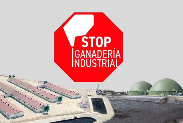 Stop Ganadería Industrial