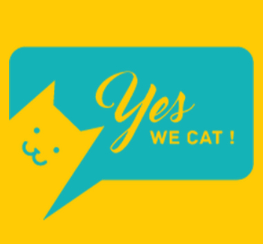 YES WE CAT asbl