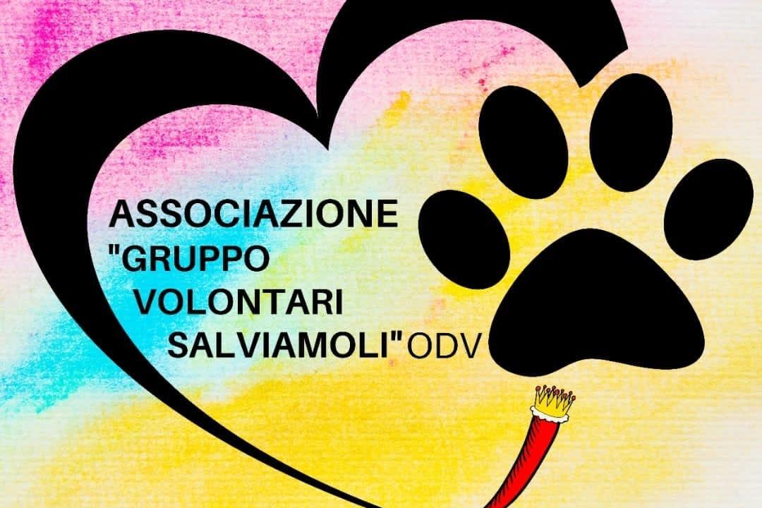Gruppo Volontari Salviamoli