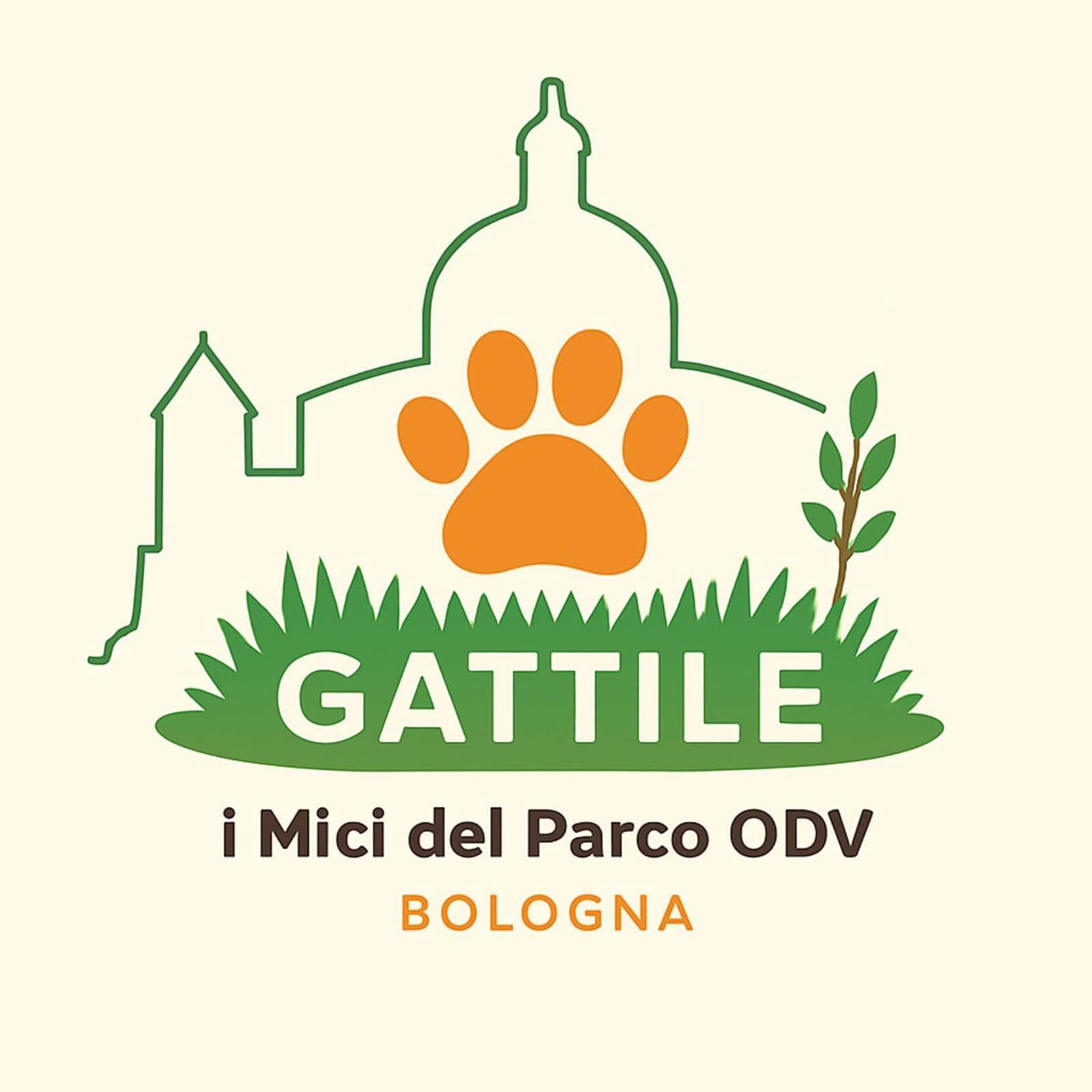 Gattile i mici del parco ODV - Bologna