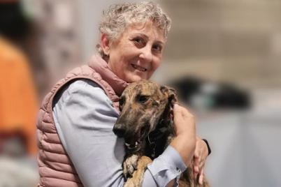 Food for homeless animals Food for homeless animals