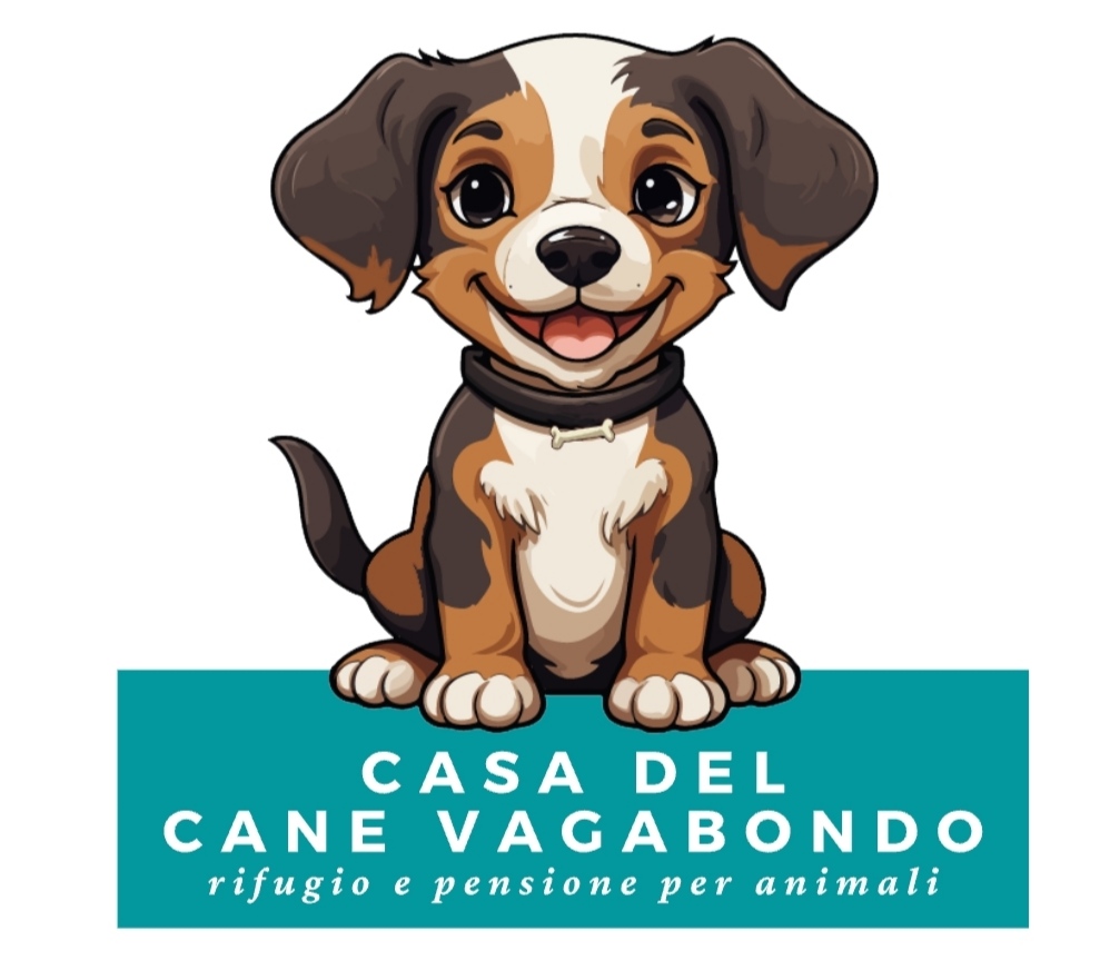 Casa Del Cane Vagabondo