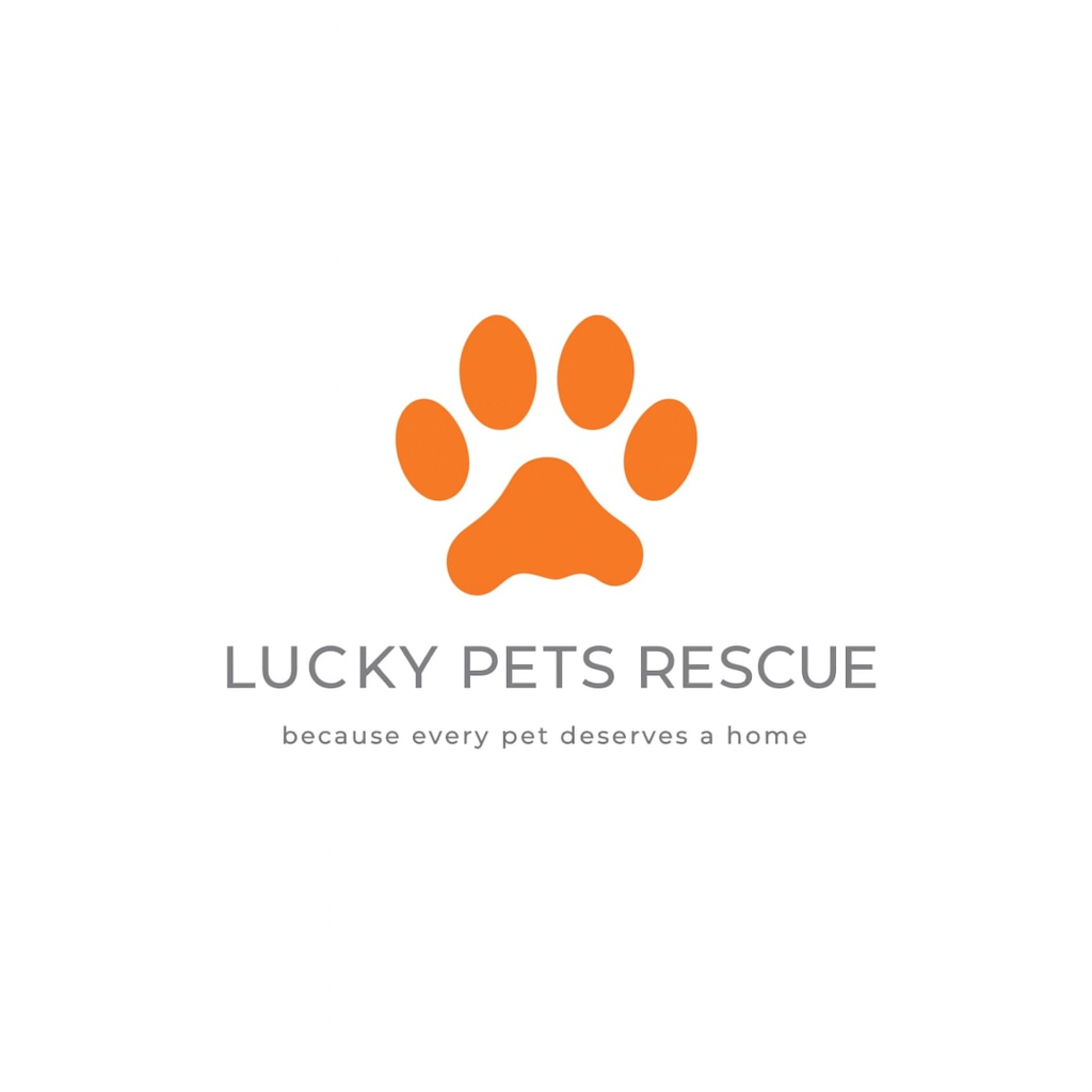 Lucky Pets Rescue