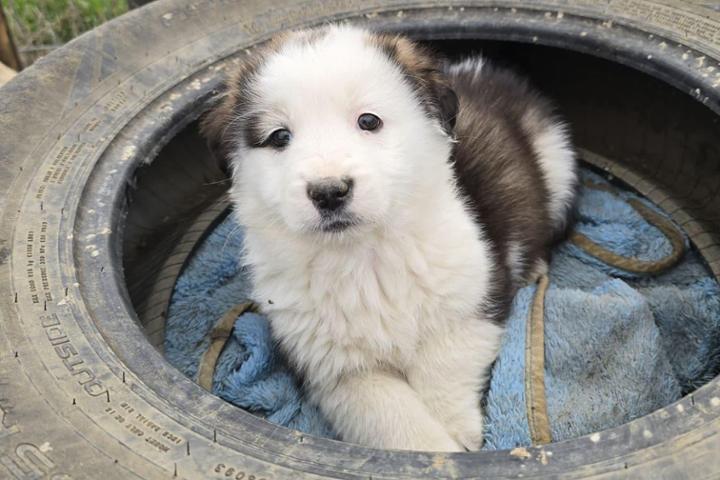 ALIKIS WONDERLAND ❤️ We build a shelter.