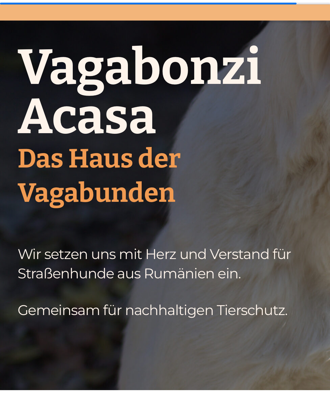 Vagabonzi Acasa e.v