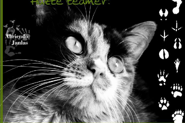 JuntxsAbriendoJaulas