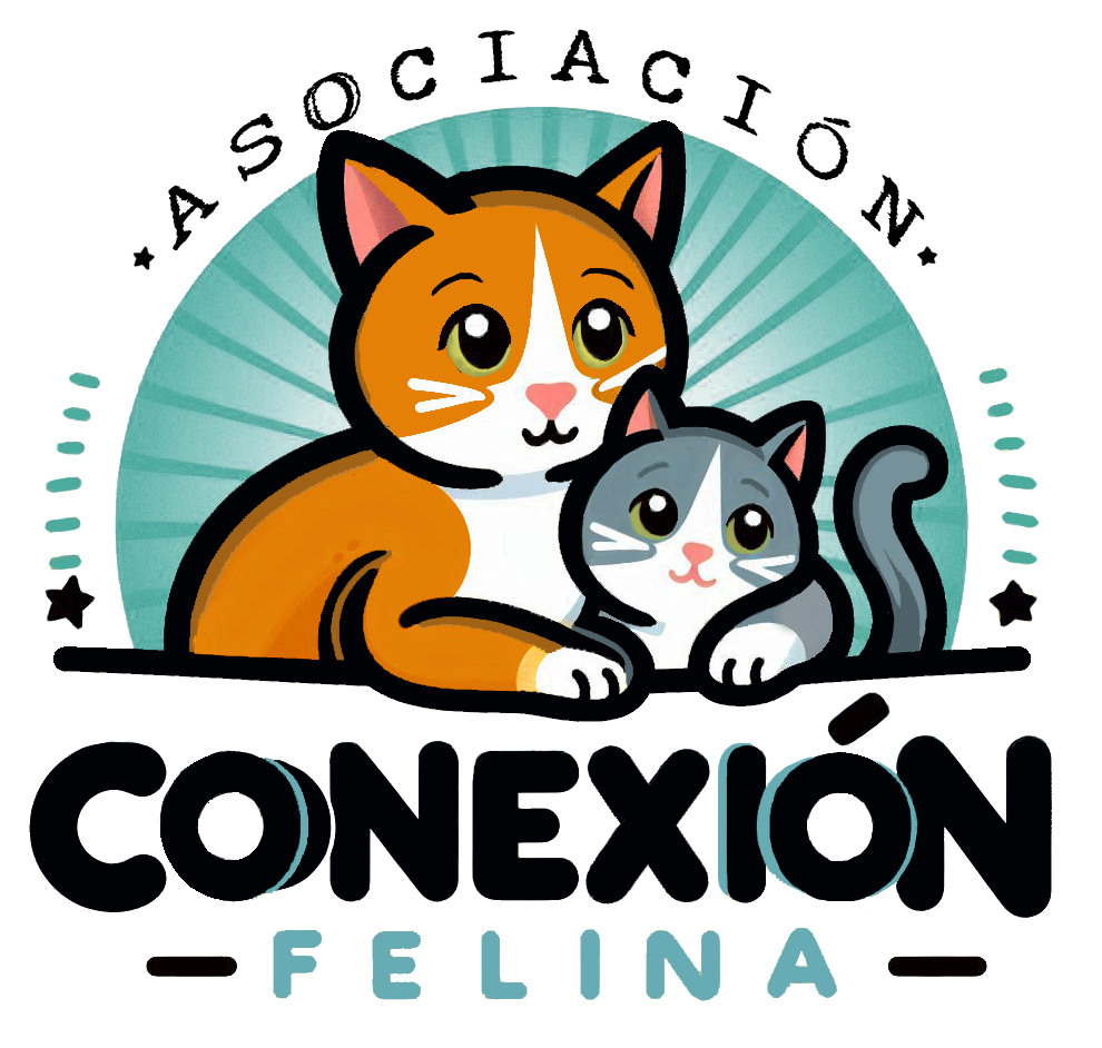 Asociación Conexión Felina Valladolid