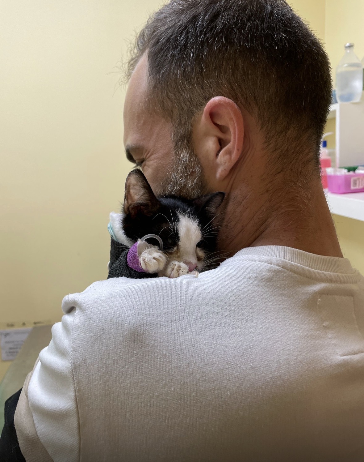 Team Valentina’s Shelter