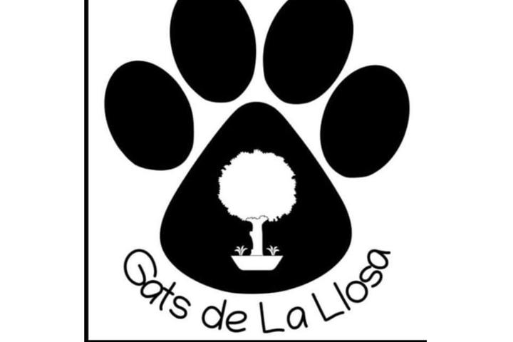 Gats de la Llosa.