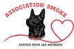 Association Smoke