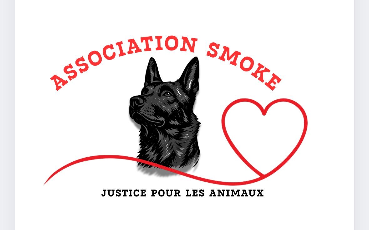 Association Smoke