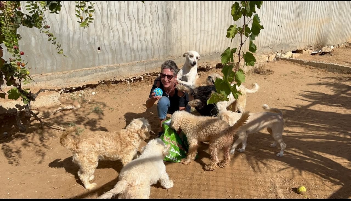 URGENCE pour 200 chiens et chats de ''Un coeur sur pattes''