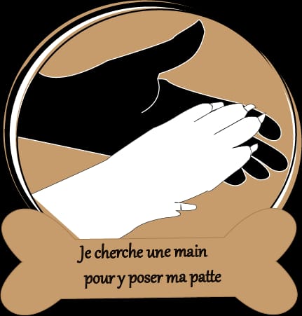 Je cherche une main pour y poser ma patte