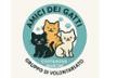 Amici dei gatti Civitanova Marche