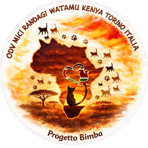MICIRANDAGI WATAMU KENYA TORINO ITALIA Organizzazione di volontariato